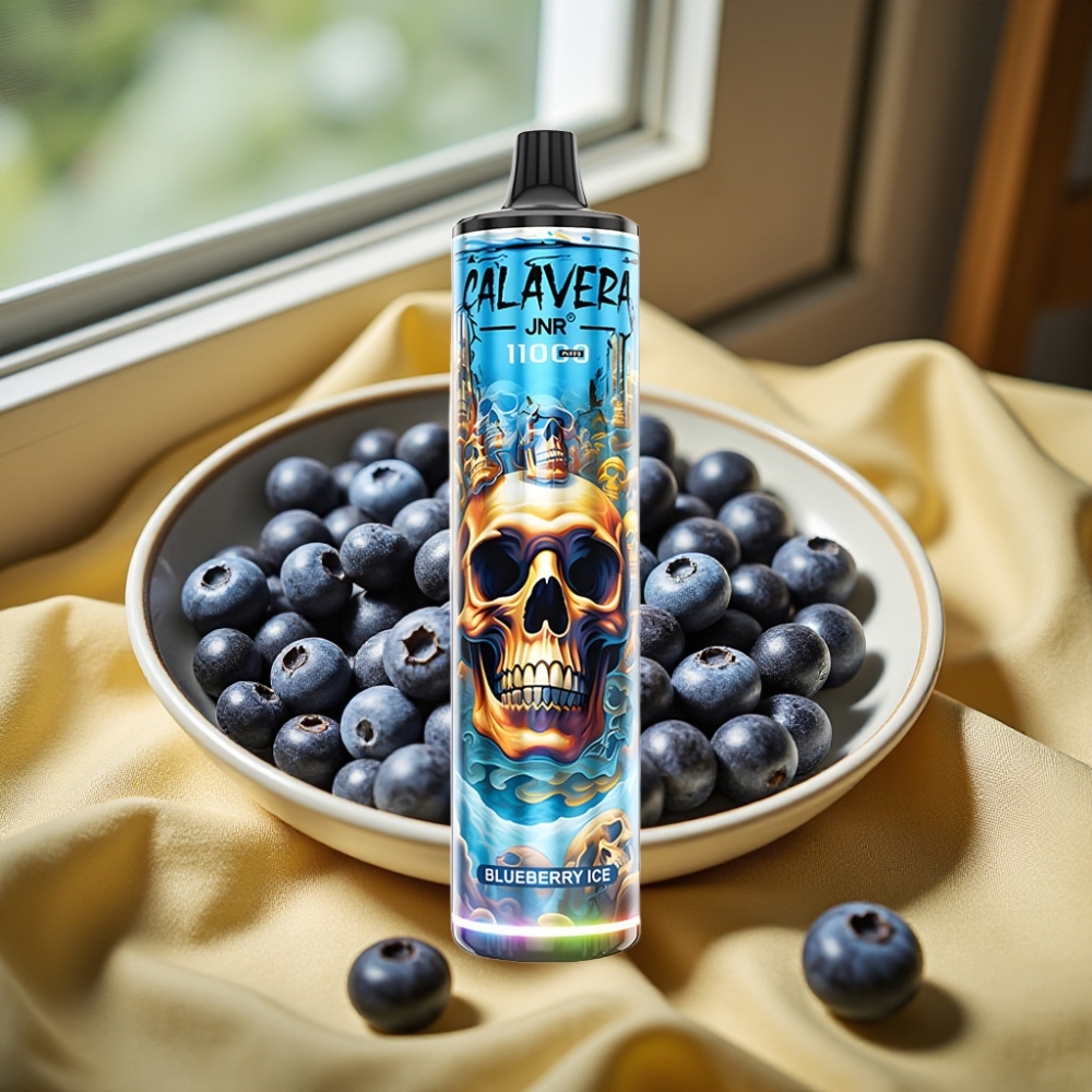 JNR Calavera 11000 Puffs Type-C Blueberry Ice