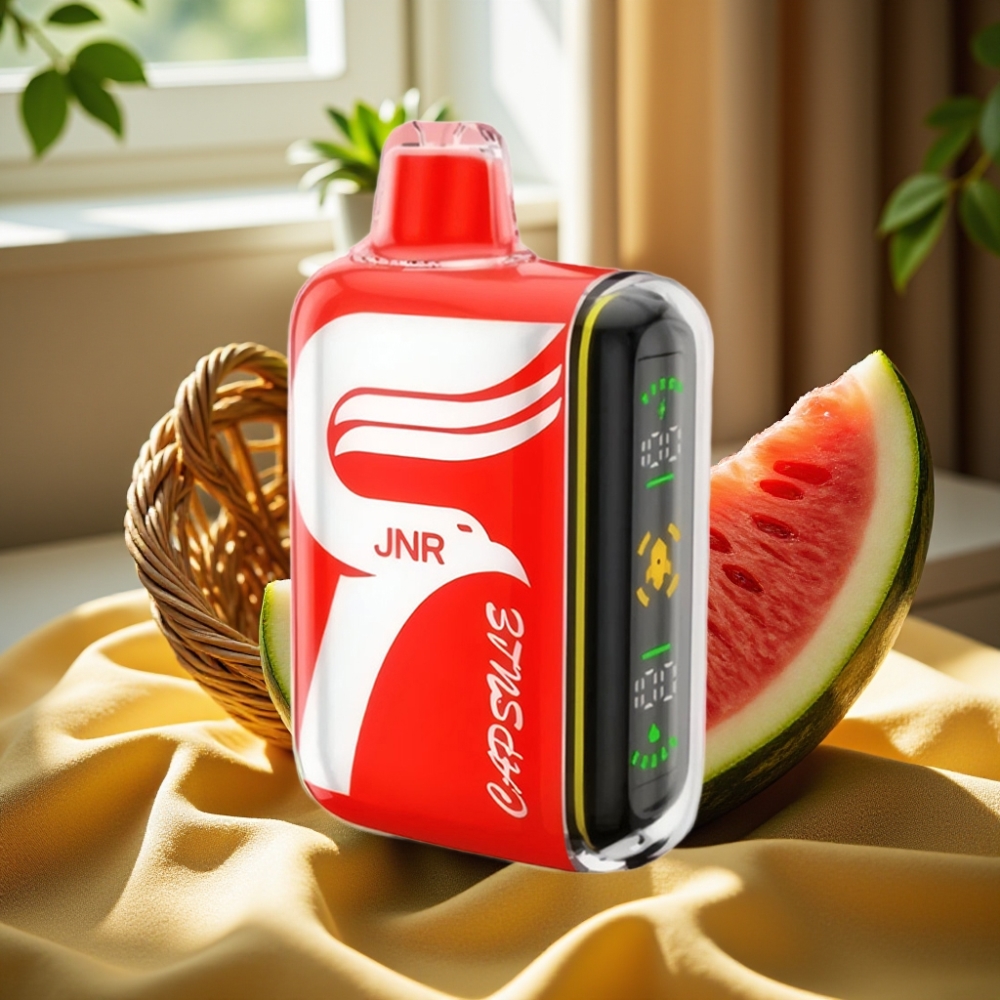 JNR Capsule 15000 Puffs 850mAh Disposable Vape Диня Лед