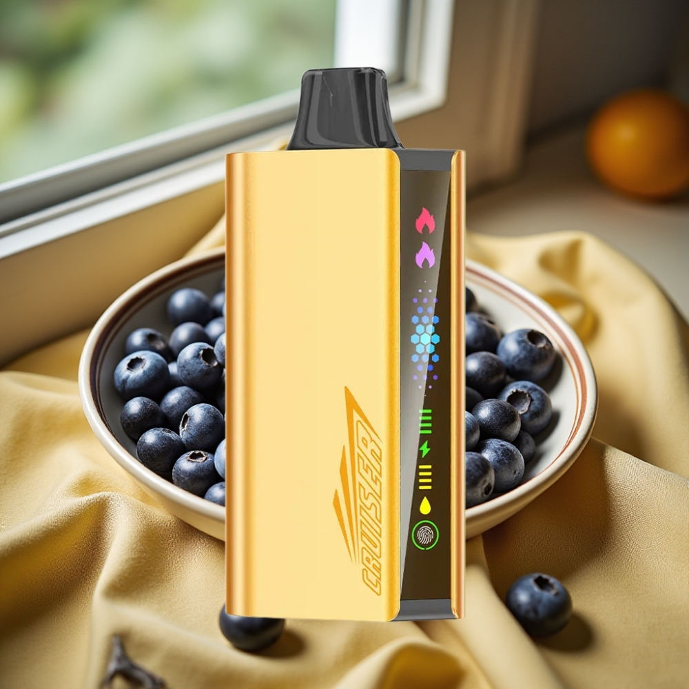 JNR Cruiser 12000 Puffs 3500mAh No-Charge Disposable Vape Боровинков Взрив