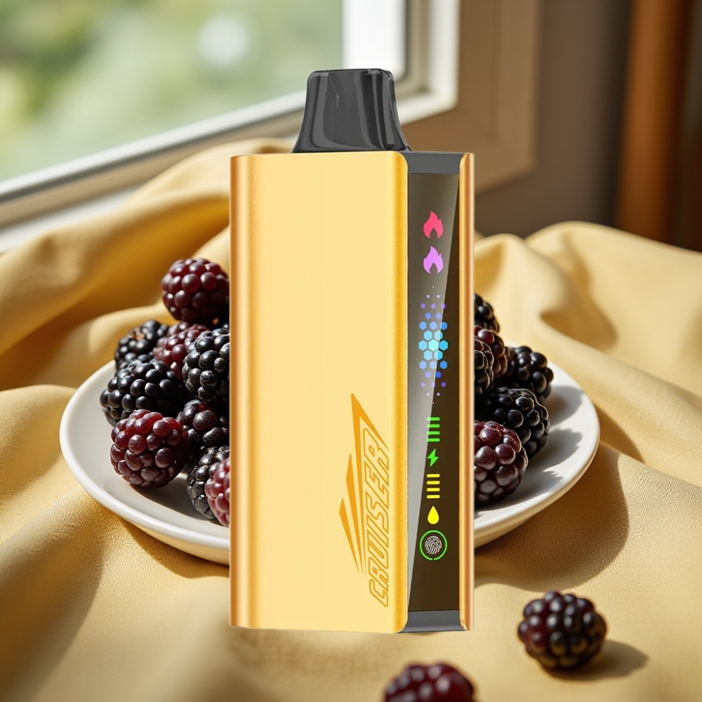 JNR Cruiser 12000 Puffs No-Charge 3500mAh Disposable Vape Боровинков лед