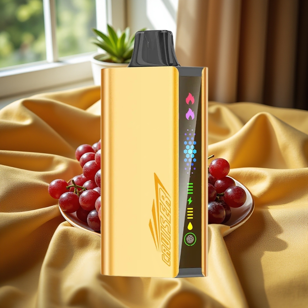 JNR Cruiser 12000 Puffs No-Charge Built-in 3500 mAh Disposable Vape Гроздов Лед