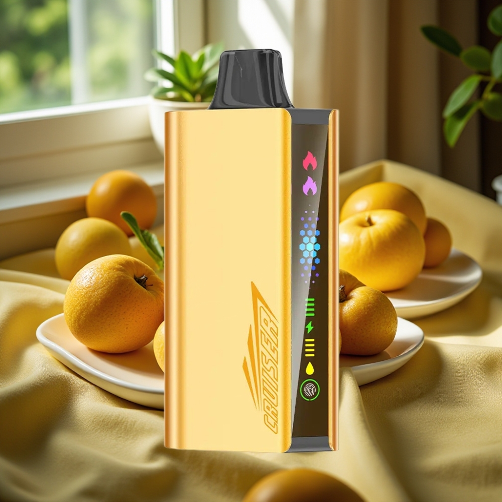 JNR Cruiser 12000 Puffs No-Charge Disposable Vape Хладен Ментол 3500 mAh