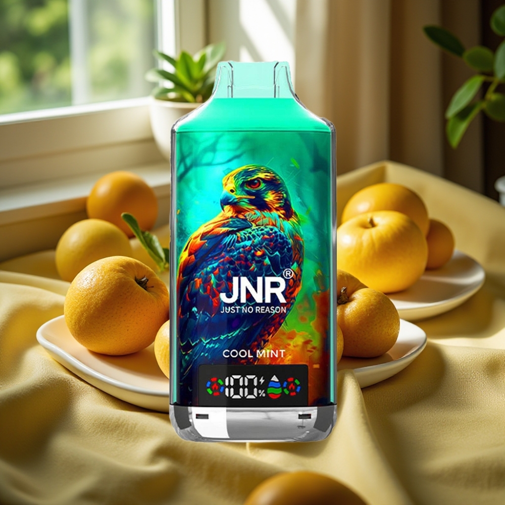 JNR Falcon X 18000 Puffs Dual Mesh Cool Mint