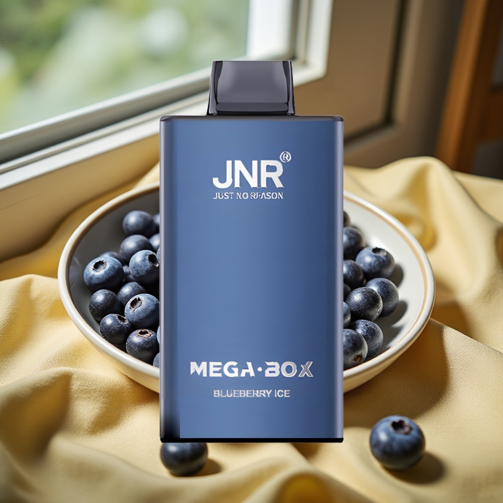 JNR Mega Box 25000 Puffs 30ml Dual Mesh Disposable Vape Синьо Боровинково Ледено