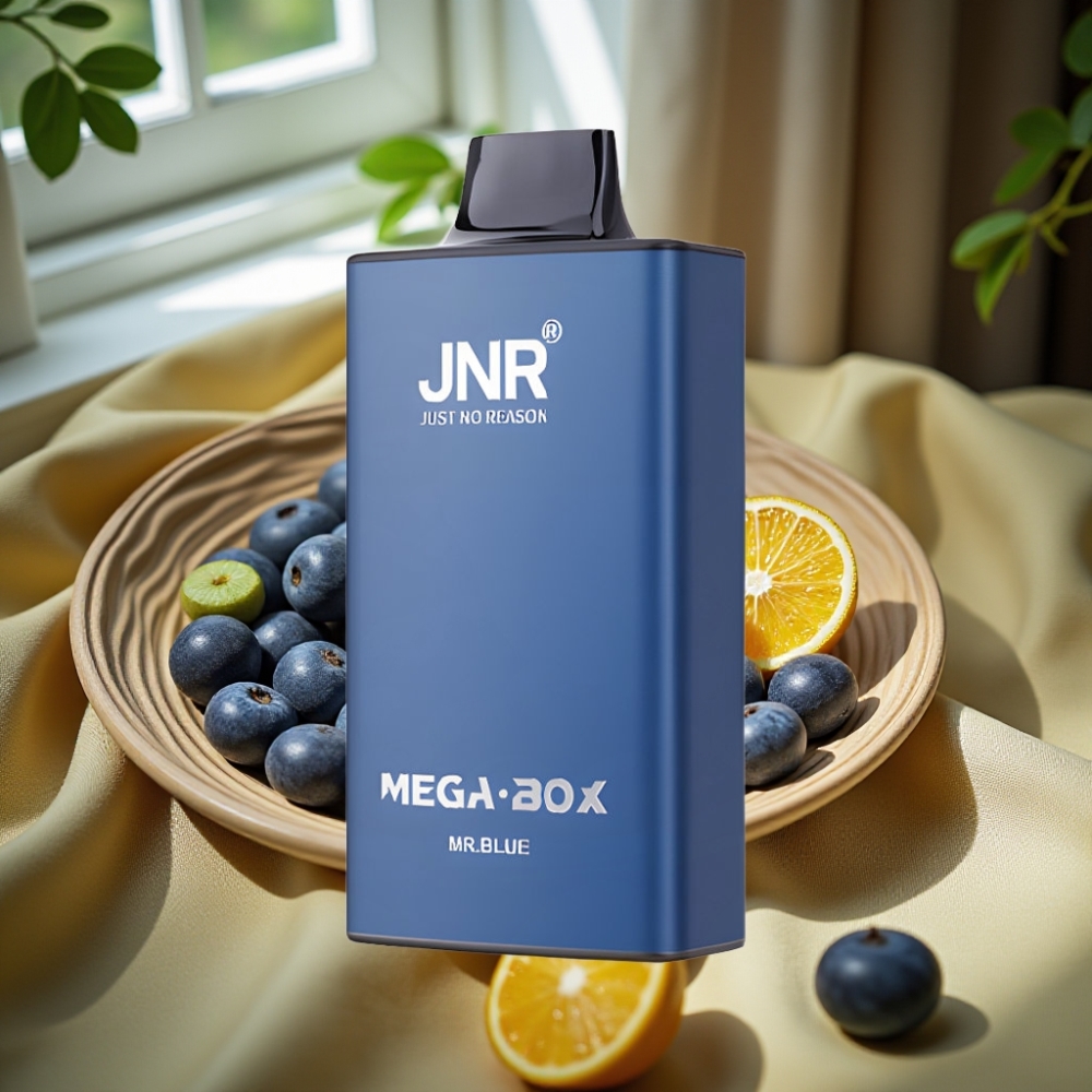 JNR Mega Box 25000 Puffs Dual Mesh Голям Син Disposable Vape