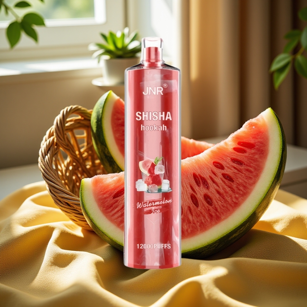 JNR Shisha Hookah 12000 Puffs 24ml/750mAh Диня Лед