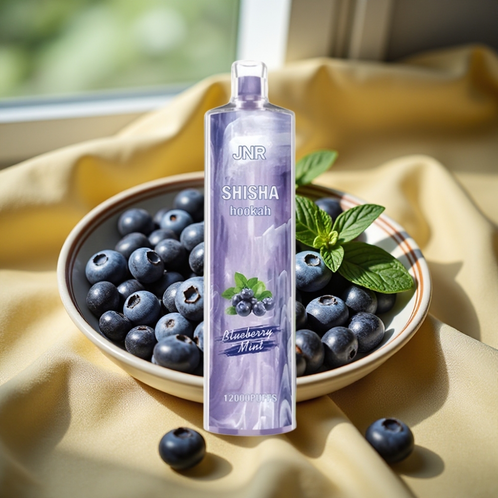 JNR Shisha Hookah 12000 Puffs 24ml Blueberry Мента