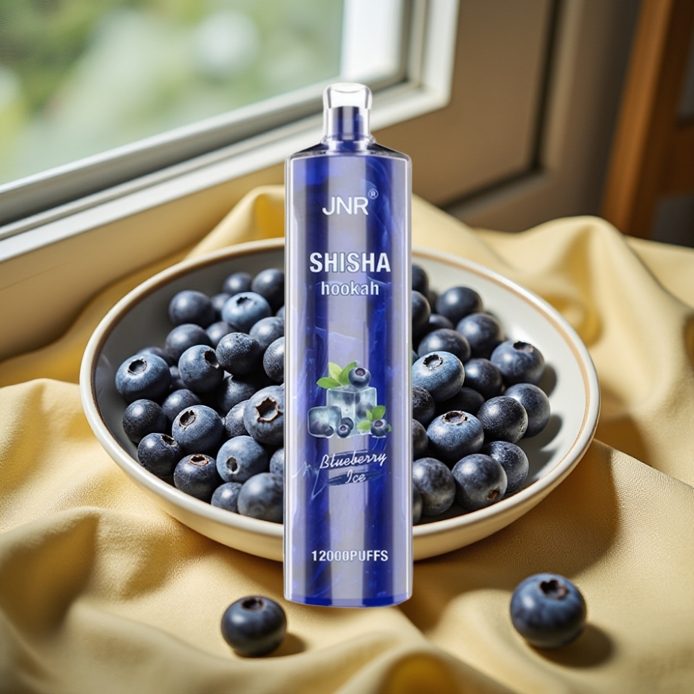 JNR Shisha Hookah 12000 Puffs 750mAh Disposable Вакс Боровинков Лед