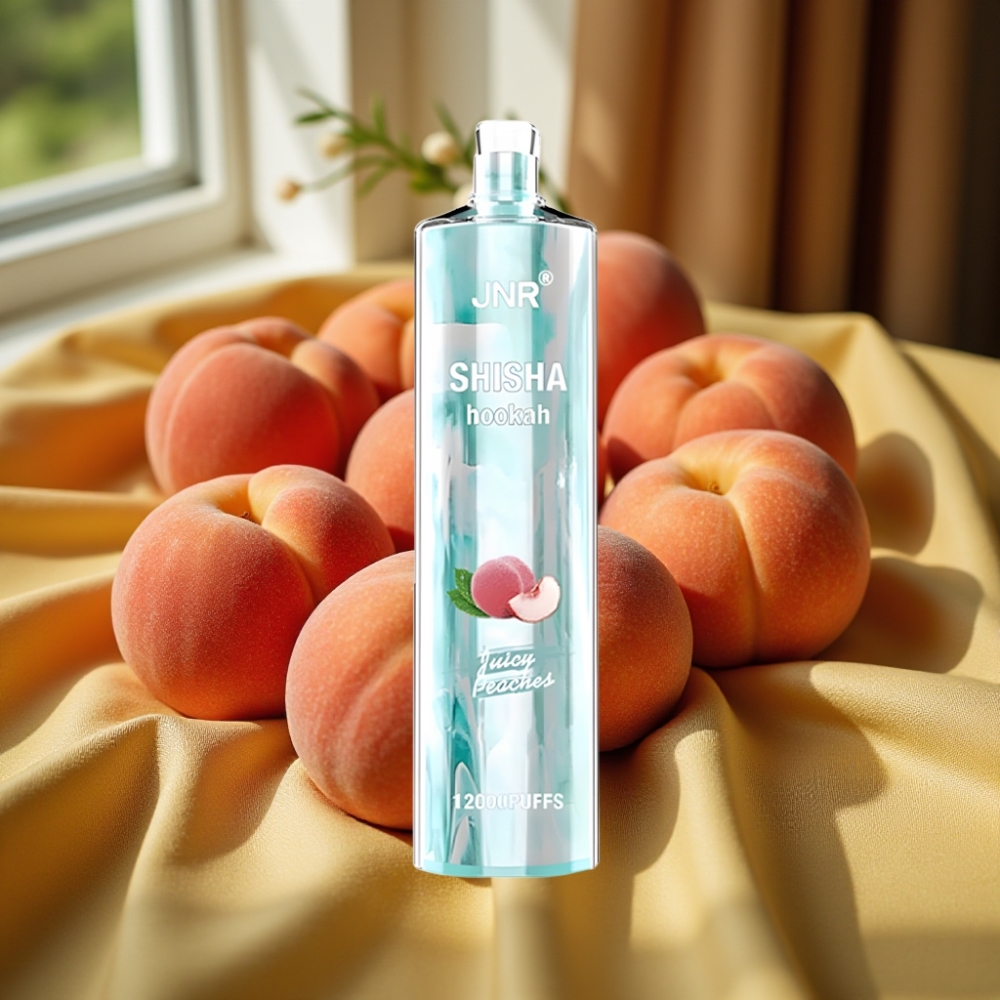 JNR Shisha Hookah 12000 Puffs 750mAh Сочни Праскови
