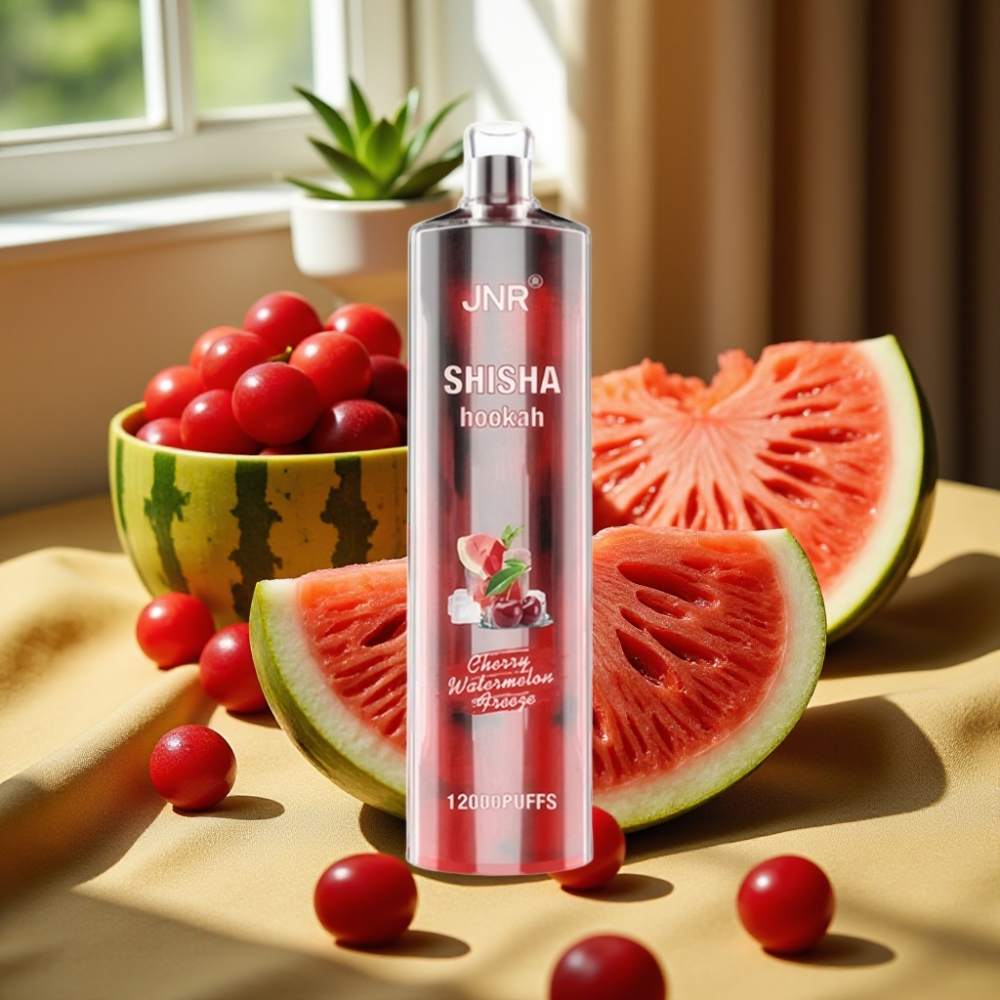 JNR Shisha Hookah 12000 Puffs Тип-C бързо зареждане Череша Диня Freeze