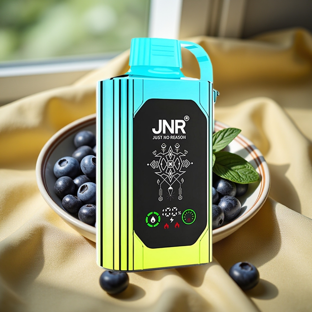 JNR Shisha Hookah Box 20500 Puffs 25ml Type-C Боровинкова Мента