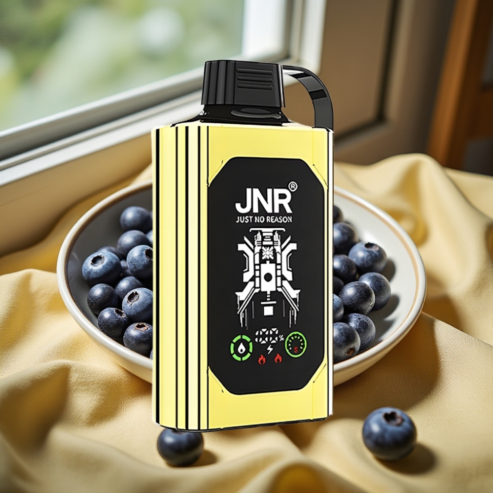 JNR Shisha Hookah Box 20500 Puffs Dual Mesh Coil Боровинков Лед